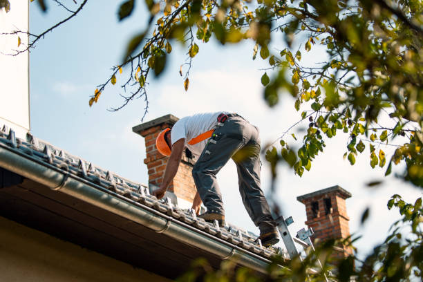 Best Storm Damage Roof Repair  in Hinsdale, IL